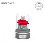 ROSEONLY诺誓星座独角兽抱抱龙永生花玫瑰花音乐球送女友生日情人节礼物 甜心熊-音乐球-钟罩-红色