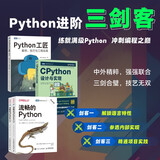 Python进阶三剑客：Python工匠+CPython设计与实现+流畅的Python第2版（京东套装共3册）（图灵出品）