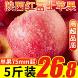 雪糖心 苹果陕西新鲜红富士苹果 冰糖心苹果 新鲜水果整箱脆甜  净重4.5斤（75-80mm）