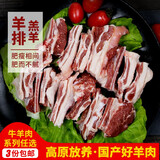 密农人家 羊排 国产羔羊肉 精羊排骨 味道鲜美 急冻锁鲜 新鲜羊肋排500g