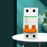 施耐德（Schneider） 空气开关E9系列空开2P小型断路器家用总闸 【独立包装】63A