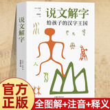 说文解字 给孩子的汉字王国 中华历史汉字甲骨文字演变图解象形文字书古代汉字