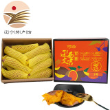 辽西文君【辽宁特产】葫芦岛市甘薯红薯蜜薯烤地瓜糖心绿色食品厂家直邮 辽西文君1号4.5斤适合烤制，黄瓤