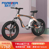 永久（FOREVER）儿童山地车儿童山地自行车永久儿童自行车儿童单车小孩自行车童车 22寸 银色