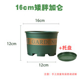 绿植花盆新款加厚加仑盆 植物花盆 欧式阳台花盆盆栽圆形绿萝 16cm矮胖【含盆】 特大