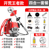 达瓦（DAWA）德国动力技术割草机除草机打草机四冲程汽油机水稻收割机电动农具 背负式（割草+除草+松土+种植钻