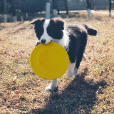 星记狗狗训练用品训犬玩具球边牧飞盘软飞碟耐咬不伤牙 星记飞盘-黄色 标准号