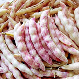 寿禾 四季豆种子芸豆黄金钩豆角架豆菜豆蔬菜种孑秋冬季种籽菜籽 黄金沟黄金勾豆角种子 50g