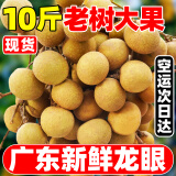 现货广东新鲜石硖龙眼产地直供高州桂圆带叶应当季新鲜水果整箱5 3斤 装石硖龙眼丨果肉爽嫩