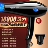 RUI LAI YA发廊专用电吹风机家用理发店9800W大功率负离子速干护发静音风筒 纯铜机芯送一 升级版 十年换新