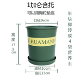 德沃多肥料加仑盆1号含花托盘塑料花盆园艺绿植盆栽种植兰花室内摆件多肉盆