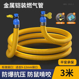 家韵（jiayun）燃气管家用铠装天然气管子加厚连接煤热水器专用防爆液化气管  防爆燃气管3米+卡箍*2