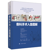 骨科手术入路图解