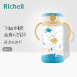利其尔（Richell）儿童水杯吸管防摔学饮杯婴儿卡通可爱便携水杯 恐龙320ml