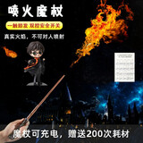 麦儿飞乐哈利波特魔杖全套环球影城魔法棒接骨木喷火魔杖礼物影视周边手杖火漆印章创意送同学朋友万圣节礼物 哈利波特【喷火魔杖】双开关（200次耗材+咒语表）
