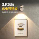 得利来（DOLILO） 得利来充电式射灯免接线免打孔无线背景墙壁照画灯免布线led壁灯 单灯【充电款】三色调光