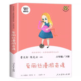 【当当正版包邮】快乐读书吧六年级上册/下册 童年爱的教育小英雄雨来 人教版 六年级课外阅读小学生读物课外书籍书目 名著阅读 人民教育出版社骑鹅旅行记汤姆索亚历险记鲁滨逊漂流记 六年级下册 爱丽丝漫游奇