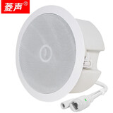 菱声 IP数字网络音柱4G云智能室外户外防水壁挂音箱校园公共广播系统商场寻址有源音响吸顶喇叭POE 20W网络吸顶（标准款）