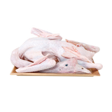 屋下鹅 现杀老鹅 3kg/只 大白鹅鹅肉土鹅特产老鹅大鹅