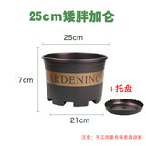 绿植花盆新款加厚加仑盆 植物花盆 欧式阳台花盆盆栽圆形绿萝 25cm矮胖【含盆】 特大