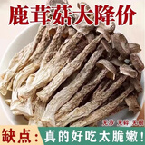 《净重发货》特价嫩仔鹿茸菇干货、香菇、菌菇 小条鹿茸菇500g-性价比高