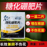 花大师蓝莓专用土盆栽营养土蓝莓树种植土大颗粒蓝莓土疏松透气 糖化硼肥片（防虫）3g
