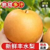 探味君 山东丰水梨 当季现摘雪黄花梨脆甜梨子新鲜水果带箱 5斤 净重4.5斤【品质好果】 【超值装】甄选精品