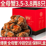 【活蟹】蟹知音大闸蟹鲜活六月黄现货特大螃蟹海鲜水产河蟹类礼盒 【精选】全母蟹3.5-3.8两 8只
