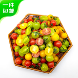 京鲜生 春沐源 大理 樱桃番茄 红黄绿多彩番茄350g*4 水果 源头直发