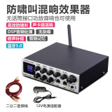 杰奇洛家用卡拉OK混响器带蓝牙家庭电视唱K歌混音话筒防啸叫前级效果器 防啸叫 专业混响修声