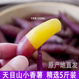 时味季正宗临安天目山小香薯5斤装红皮黄心红薯手指薯新鲜带皮板栗番薯 3斤 小果