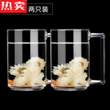 COUNT QIABEI德国进口品质家用钢化玻璃杯带把透明办公室绿茶杯高级高档男士泡 【品质很好】320 两只【钢化玻璃