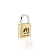 梅花（BLOSSOM）雅圆铜挂锁20MM 抽屉锁箱包锁 宿舍柜门锁BC9020