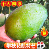 庾丰 芒果当季新鲜水果孕妇热带青皮凯特 非金煌芒 大青芒现摘 需催熟 10斤装（净果8.5-9斤）优选果 甄选品质 源头鲜采