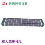 王小家英 双人枕头荞麦枕荞麦壳情侣长枕加长款成人颈椎枕芯荞麦皮硬枕头 18号花色 立体1.5米甜荞