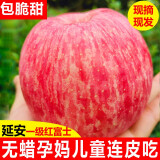 安和山陕西延安洛川红富士苹果新鲜水果脆甜应季水果时令生鲜 70-75mm带箱5斤（净重4.5斤）