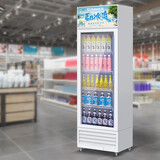 稚乐 商用冰柜展示柜 大容量饮料柜冰柜展示柜冷藏保鲜柜 风冷保鲜超市玻璃冰箱立式啤酒柜 迷你冰吧238L单门下机组直冷