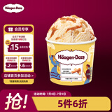 哈根达斯（Haagen-Dazs）肉桂焦糖味 经典吉士果冰淇淋 100ml/杯 雪糕