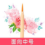 樱花（SAKURA）面相笔 水彩画笔 毛笔 樱花勾线笔 漫画笔上色笔 面相中号（单支）