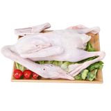 屋下鹅 新鲜现杀鹅肉大白鹅 3kg/只 农家散养土鹅大鹅