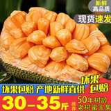 闽农语果【爆甜】菠萝蜜整个海南菠萝蜜菠萝蜜水果菠萝蜜干苞红肉菠萝蜜 【黄肉】15-20斤