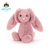 Jellycat害羞粉色郁金香邦尼兔毛绒玩具公仔睡觉抱枕送礼生日礼物 害羞粉色郁金香邦尼兔 H51 X W21 CM