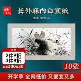 一海堂 生宣卡纸 镜片纸文房四宝长方形纸国画扇面工笔画书法纸镜片 长外麻内白-生宣 50*30cm*10张