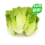 【高山鲜】钟灵山罗马生菜400g