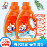 威猛先生（Mr Muscle）地面清洁剂 2kg 浓缩配方 瓷砖地板砖清洁 去污去渍留香除菌除垢 海洋 2kg*2