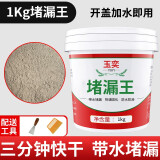 玉奕 直用水泥砂浆防水涂料堵漏王快干水泥花盆制作家用速干水泥黄沙补漏王 堵漏王1kg【速干水泥】送工具