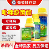 巴斯夫德国巴斯夫凯润吡唑醚菌酯炭疽大豆叶斑葡萄霜霉病农药专用杀菌剂 8ml