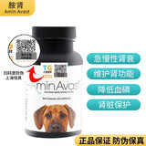 AMINAVAST美国胺肾猫肾衰停胺肾猫咪狗狗慢性肾衰老年猫猫肾脏养护降肌肝 【官方授权】1000mg中大型犬60粒