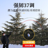 光威（GW） 鲫鱼竿底价限购法莱细身竞技碳素超轻手竿台钓竿钓鱼竿手杆渔具 光威高碳鲫鱼竿5.4米