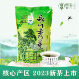 云升永川云升秀芽茶叶绿茶 重庆特产炒青250g  2024新茶早春茶 袋装茶